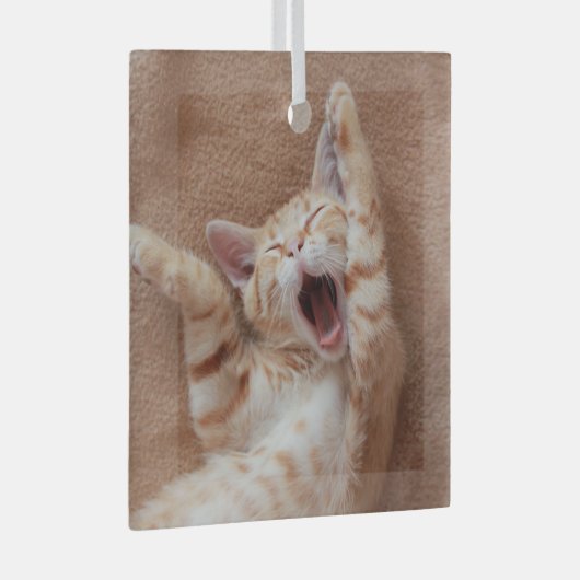 Kutest Baby Animals | Ginger Kitten Yawning Glas Ornament (Voorkant Rechts)
