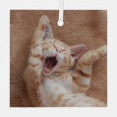 Kutest Baby Animals | Ginger Kitten Yawning Glas Ornament (Achterkant)