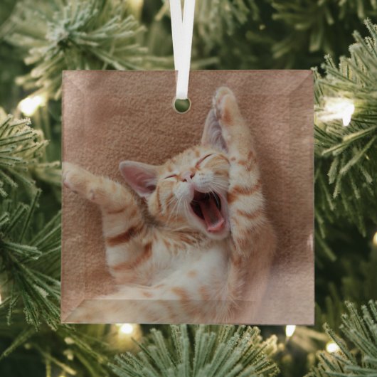 Kutest Baby Animals | Ginger Kitten Yawning Glas Ornament (Insitu)