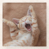 Kutest Baby Animals | Ginger Kitten Yawning Glazen Onderzetter (Voorkant)