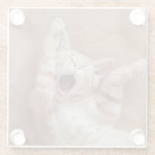 Kutest Baby Animals | Ginger Kitten Yawning Glazen Onderzetter (Achterkant)