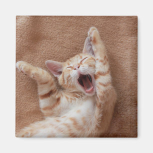 Kutest Baby Animals Ginger Kitten Yawning Magneet