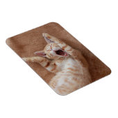 Kutest Baby Animals | Ginger Kitten Yawning Magneet (Rechterzijde)