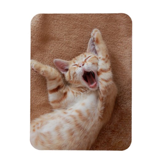 Kutest Baby Animals | Ginger Kitten Yawning Magneet (Verticaal)