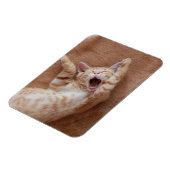 Kutest Baby Animals | Ginger Kitten Yawning Magneet (Linkerzijde)