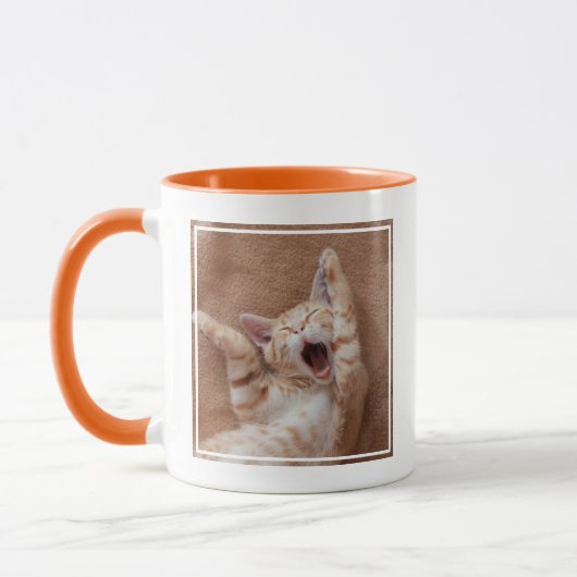 Kutest Baby Animals | Ginger Kitten Yawning Mok (Links)