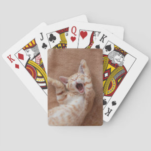 Kutest Baby Animals Ginger Kitten Yawning Pokerkaarten