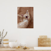 Kutest Baby Animals | Ginger Kitten Yawning Poster (Keuken)