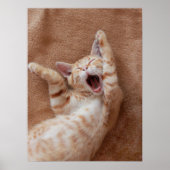 Kutest Baby Animals | Ginger Kitten Yawning Poster (Voorkant)