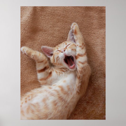 Kutest Baby Animals | Ginger Kitten Yawning Poster (Voorkant)