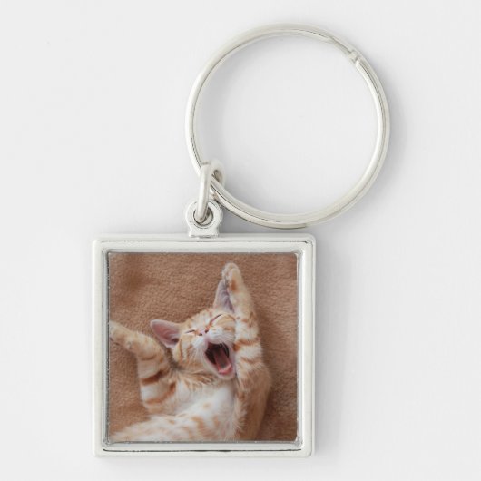 Kutest Baby Animals | Ginger Kitten Yawning Sleutelhanger (Voorkant)
