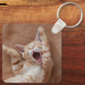 Kutest Baby Animals | Ginger Kitten Yawning Sleutelhanger (Achterkant)
