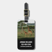 Kutest Baby Animals | Giraffe Calf & Mama Bagagelabel (Voorkant verticaal)