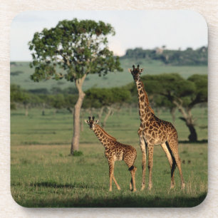 Kutest Baby Animals   Giraffe Calf & Mama Bier Onderzetter