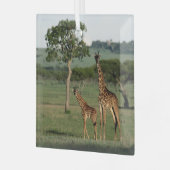 Kutest Baby Animals | Giraffe Calf & Mama Glas Ornament (Voorkant links)