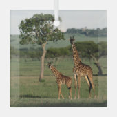 Kutest Baby Animals | Giraffe Calf & Mama Glas Ornament (Voorkant)