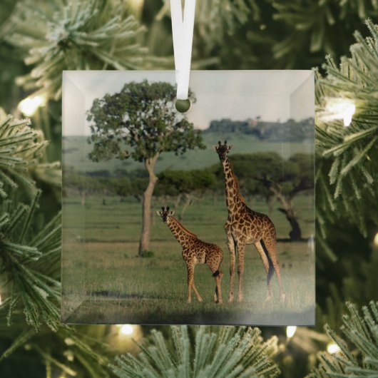 Kutest Baby Animals | Giraffe Calf & Mama Glas Ornament (Insitu)