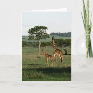 Kutest Baby Animals   Giraffe Calf & Mama Kaart