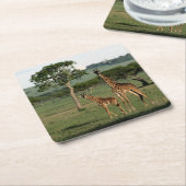 Kutest Baby Animals | Giraffe Calf & Mama Kartonnen Onderzetters (Schuin)