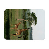 Kutest Baby Animals | Giraffe Calf & Mama Magneet (Horizontaal)