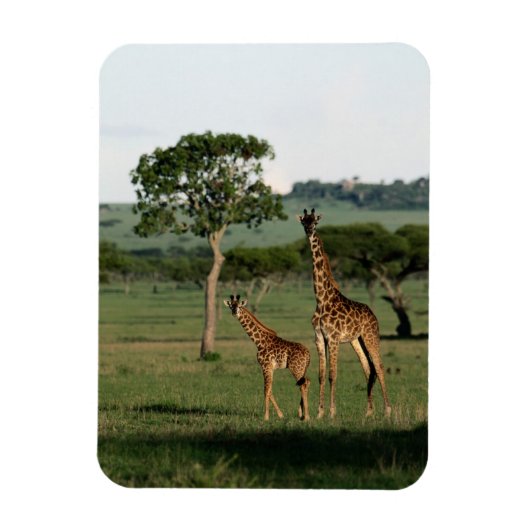 Kutest Baby Animals | Giraffe Calf & Mama Magneet (Verticaal)
