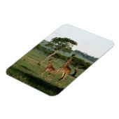 Kutest Baby Animals | Giraffe Calf & Mama Magneet (Linkerzijde)