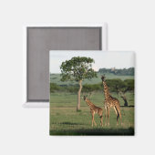 Kutest Baby Animals | Giraffe Calf & Mama Magneet (Voorkant / Achterkant)