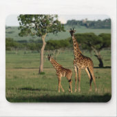 Kutest Baby Animals | Giraffe Calf & Mama Muismat (Voorkant)