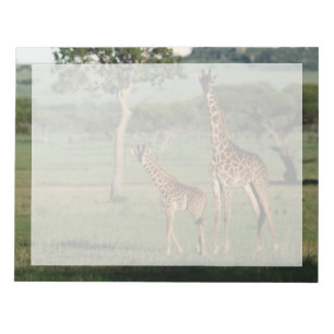 Kutest Baby Animals Giraffe Calf & Mama Notitieblok