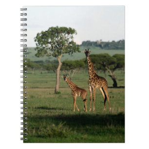 Kutest Baby Animals   Giraffe Calf & Mama Notitieboek