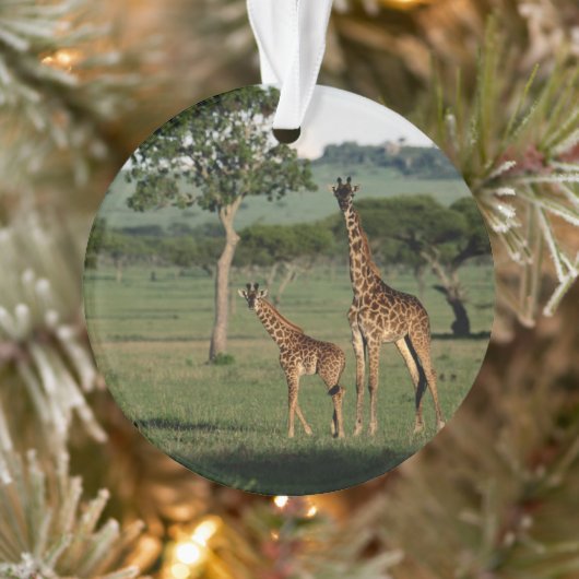 Kutest Baby Animals | Giraffe Calf & Mama Ornament (Boom)