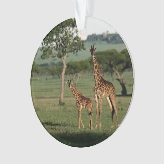 Kutest Baby Animals | Giraffe Calf & Mama Ornament (voorkant)