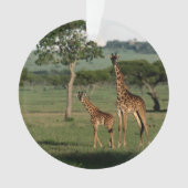 Kutest Baby Animals | Giraffe Calf & Mama Ornament (voorkant)