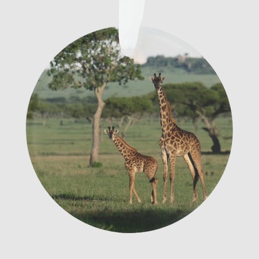 Kutest Baby Animals | Giraffe Calf & Mama Ornament (voorkant)