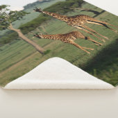 Kutest Baby Animals | Giraffe Calf & Mama Sherpa Deken (3/4)