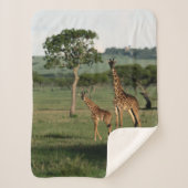 Kutest Baby Animals | Giraffe Calf & Mama Sherpa Deken (Voorkant)