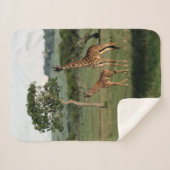 Kutest Baby Animals | Giraffe Calf & Mama Sherpa Deken (Voorkant (horizontaal))