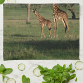 Kutest Baby Animals | Giraffe Calf & Mama Theedoek (Gevouwen)