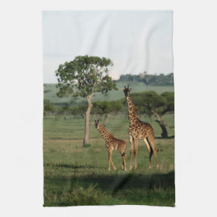 Kutest Baby Animals   Giraffe Calf & Mama Theedoek