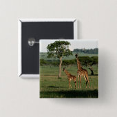 Kutest Baby Animals | Giraffe Calf & Mama Vierkante Button 5,1 Cm (Voorkant /achterkant)