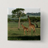 Kutest Baby Animals | Giraffe Calf & Mama Vierkante Button 5,1 Cm (Voorkant)