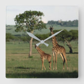Kutest Baby Animals | Giraffe Calf & Mama Vierkante Klok (Voorkant)