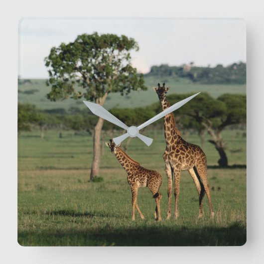 Kutest Baby Animals | Giraffe Calf & Mama Vierkante Klok (Voorkant)