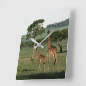 Kutest Baby Animals | Giraffe Calf & Mama Vierkante Klok (Hoek)