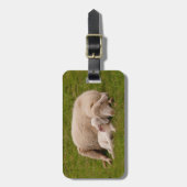 Kutest Baby Animals | Gloeiende gloeilamp Bagagelabel (Voorkant verticaal)