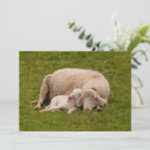 Kutest Baby Animals | Gloeiende gloeilamp Bedankkaart (Staand voorkant)