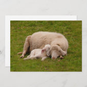 Kutest Baby Animals | Gloeiende gloeilamp Bedankkaart (Voorkant / Achterkant)