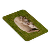 Kutest Baby Animals | Gloeiende gloeilamp Magneet (Rechterzijde)