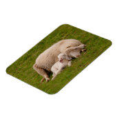 Kutest Baby Animals | Gloeiende gloeilamp Magneet (Linkerzijde)