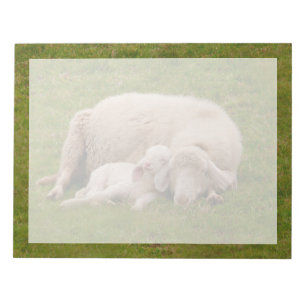 Kutest Baby Animals Gloeiende gloeilamp Notitieblok